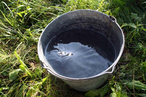 Чистота воды в колодце с грунтовыми водами